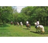 BALADE A CHEVAL le 23/06/2024 (JNL48)