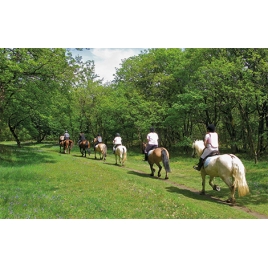 BALADE A CHEVAL le 23/06/2024 (JNL48)