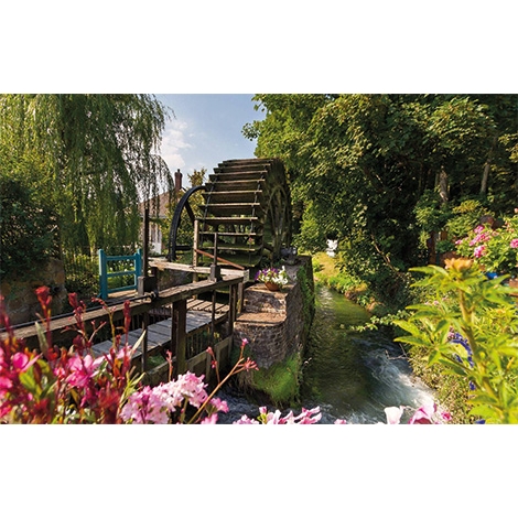 JOURNEE A VEULES LES ROSES le 25/06/2024 (JNL49)