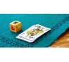 APRES MIDI JEUX A ANDILLY le 19/03/2025 (JNL51)