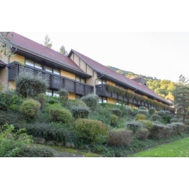 RESEAU SOLIDAIRE  SEJOUR PASTEL A KAYSERSBERG du 05 au 12/05/2025 (JNL51)