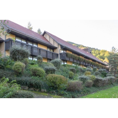 RESEAU SOLIDAIRE  SEJOUR PASTEL A KAYSERSBERG du 05 au 12/05/2025 (JNL51)
