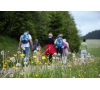 RANDONNEE SOLIDAIRE le 14/06/2025 Forêt de l'Hautil à Vauréal (JNL51)