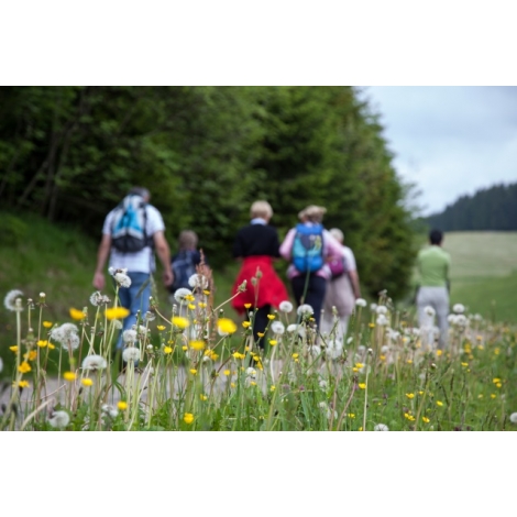 RANDONNEE SOLIDAIRE le 14/06/2025 Forêt de l'Hautil à Vauréal (JNL51)