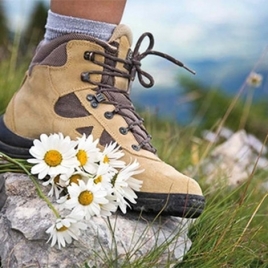 RANDONNEE LA COULEE VERTE DU SUD PARISIEN ET PARC SCEAUX LE 10/04/2026 (JNL54)