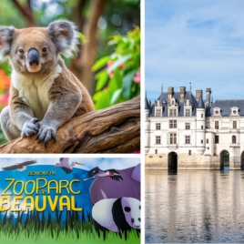 WEEK-END DE BEAUVAL AUX CHÂTEAUX DE LA LOIRE DU 04/04/2026 AU 06/04/2026 (JNL54)