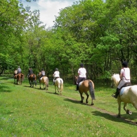 RANDONNEE A CHEVAL LE 04/07/2026 (JNL55)