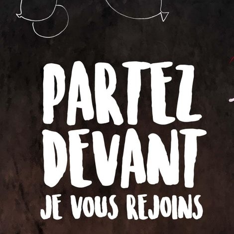 PARTEZ DEVANT, JE VOUS REJOINS LE 28/06/26 (JNL 55)