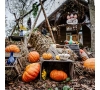 HALLOWEEN AU PARC ASTÉRIX LE 31/10/2026 (JNL56)