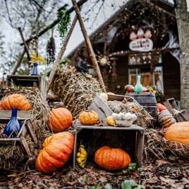 HALLOWEEN AU PARC ASTÉRIX LE 31/10/2026 (JNL56)