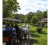 DE LA CALÈCHE À LA GUINGUETTE LE 14/10/2026 (JNL56)