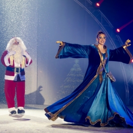 ARBRE DE NOËL - SPECTACLE SUR GLACE "LA FILLE DU MARCHANT DE SABLE" LE 28/11/2026 (JNL56)