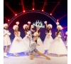 ARBRE DE NOËL - SPECTACLE SUR GLACE "LA FILLE DU MARCHANT DE SABLE" LE 28/11/2026 (JNL56)